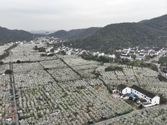 -树山生态村