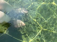 -苏州湾·王焰温泉