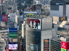 -涩谷全向十字路口