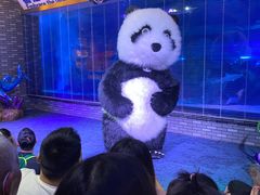 -成都浩海立方海洋公园