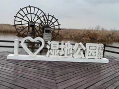 -宁波杭州湾国家湿地公园