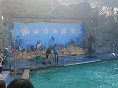 -合肥野生动物园