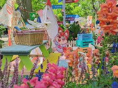 -上海共青森林公园