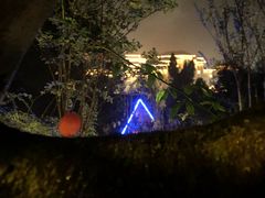 -宜春明月山维景国际温泉度假酒店