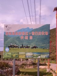 -纳帕海依拉草原