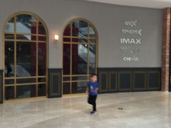 -CGV影城(壹方城IMAX店)