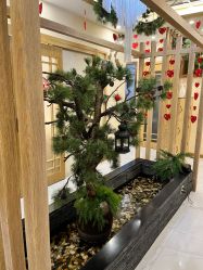 -芳朵美容养生SPA