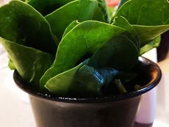 -渡娘火锅(大兴大悦春风里店)