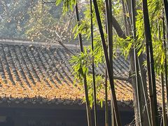 -成都杜甫草堂博物馆