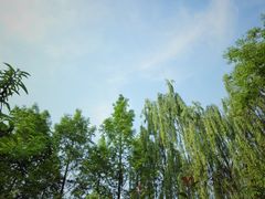 -尚贤河湿地