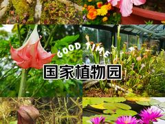 -国家植物园南园