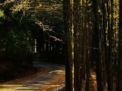 -山王坪喀斯特国家生态公园