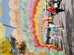 -密云玫瑰情园