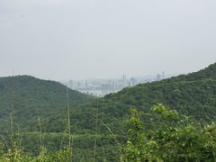 -九曜山
