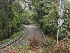 -樱桃山旅游景区