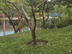 -东升文体公园