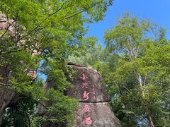 -汤旺河林海奇石景区