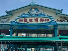 -海合安成都极地海洋公园