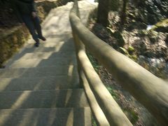 -花岩国家森林公园