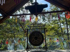 -西双版纳原始森林公园