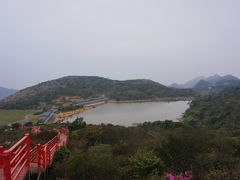 -阿钊浮豆腐