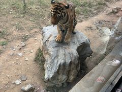-济南野生动物世界