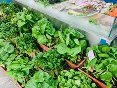 -海岛渔村大酒店(云霄路店)