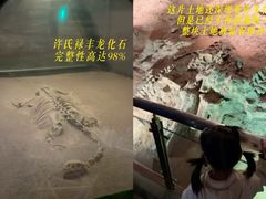 -世界恐龙谷景区