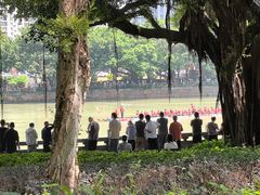 -光明港公园