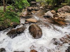 -广州市石门国家森林公园