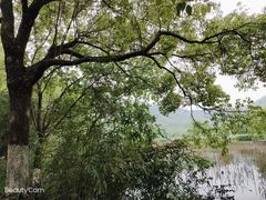 -八卦田遗址公园