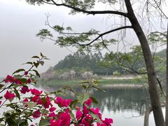 -广东花都湖国家湿地公园