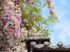 -深圳国际园林花卉博览园