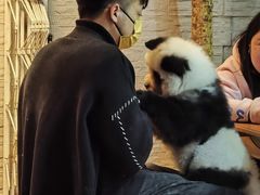 -余杨鸭鸭餐厅
