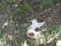 -敬亭山风景名胜区