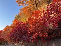 -蟒山国家森林公园天池停车场