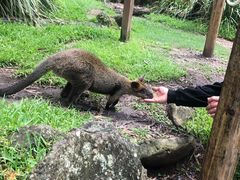 -可伦宾野生动物保护区