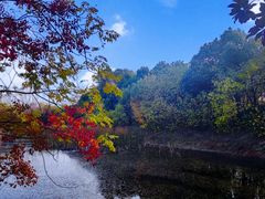 -大蜀山国家森林公园