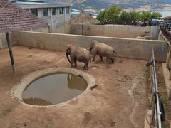 -西霞口神雕山野生动物世界