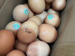 -新隆嘉 供销超市(修竹商场店)