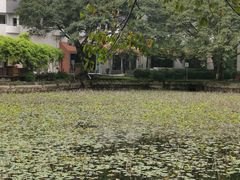 -西南交通大学(九里校区)