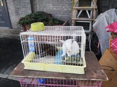 -静一餐厅·湖北菜(前门创始店)