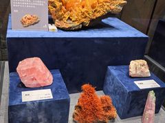 -国家自然博物馆