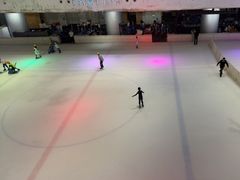 -TheRink大零溜冰场(IFS国金中心店)