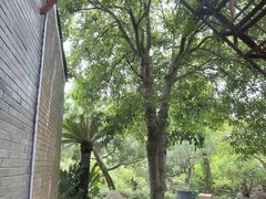-万景茶庄·台州菜