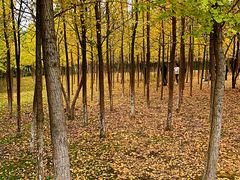 -艾溪湖湿地公园