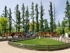 -前小桔亲子创意农场·草莓采摘·露营烧烤