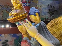 -上海东林寺(金山区)