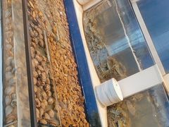 -海天盛宴新派海鲜自助餐厅(群力店)