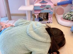 -猫咪派对(江南西店)